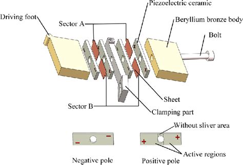 Structure of the stator. | Download Scientific Diagram