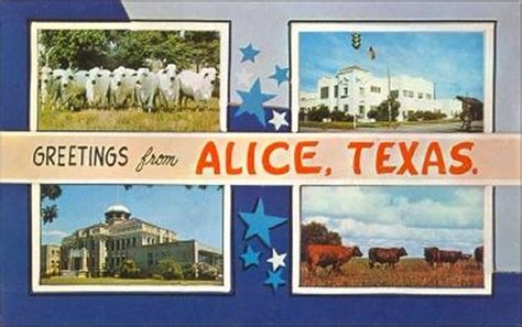 Alice | Texas Postcards