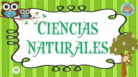 Ciencias Naturales | Dibujos de ciencias naturales, Ciencias naturales, Clases de ciencias