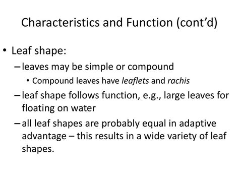 Today in Botany Chapter 7 Notes. - ppt download