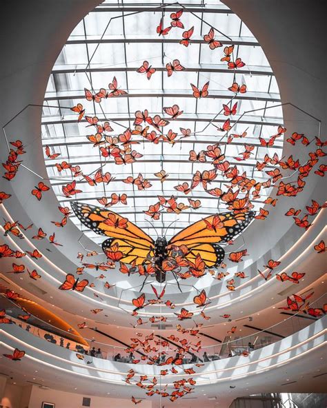 MOA Mall of America North Atrium, Butterfly art exhibit 2019, Bloomington Minnesota | Mall of ...