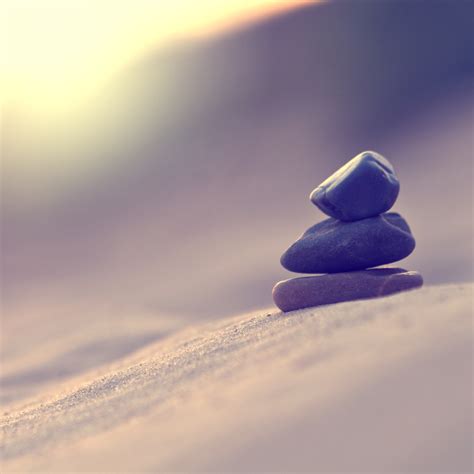 Free photo: Stillness - Art, Bspo06, Contrast - Free Download - Jooinn