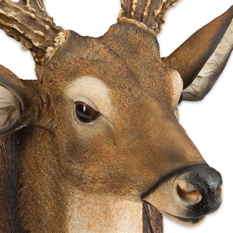 12-Point Buck/Deer Head Reproduction Wall Sculpture - BUDK.com