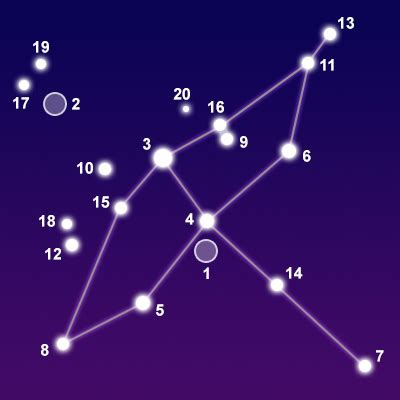 Constellation Cygnus - The Constellations on Sea and Sky