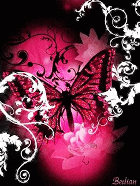 Pink And Black Butterfly GIF | GIFDB.com