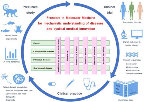 Frontiers | Grand Challenges in Molecular Medicine for Disease ...