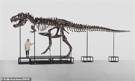 Huge 38ft T-rex skeleton named 'Trinity' sells at auction for $6 ...