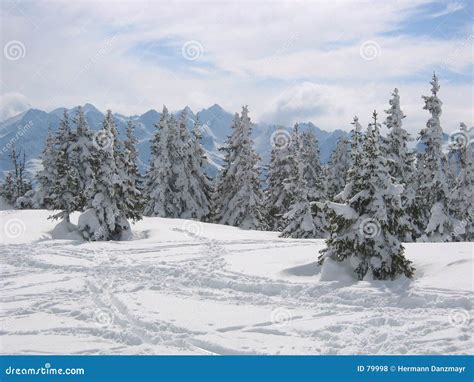 Austria / Snowy Winter Landscape Stock Photo - Image of landscape, snowing: 79998