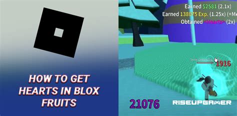 Roblox: How To Get Hearts In Blox Fruits - Riseupgamer