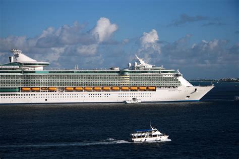 File:Freedom of the seas.jpg - Wikipedia