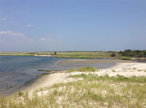 Island Beach State Park – Brick, NJ Shorebeat — News, Real Estate, Events, Community, Sports ...