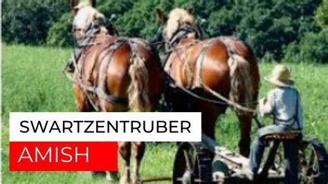 10 Facts Swartzentruber Amish - YouTube