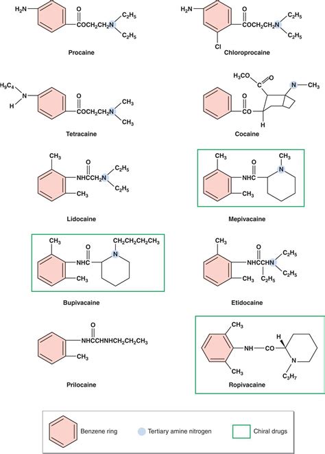 Local Anesthetics | Anesthesia Key