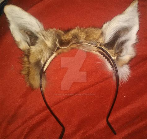 Coyote Ears by BambiTaxidermy on DeviantArt