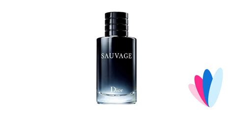 Sauvage von Dior (Eau de Toilette) » Meinungen & Duftbeschreibung