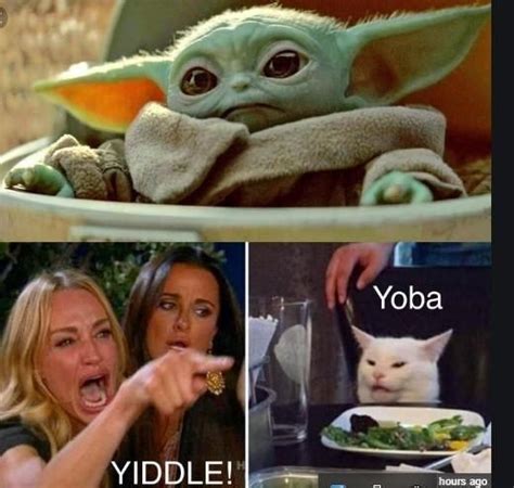 We're Not Surprised: Cats Have Managed to Take Over Baby Yoda Memes Too