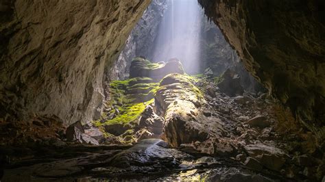 The Weird Truth About Hang Son Doong, The Cave With Its Own Rainforest Inside