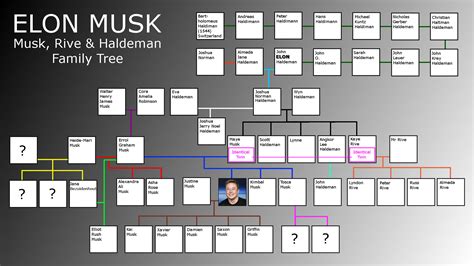 Elon Musk Family Tree : r/elonmusk