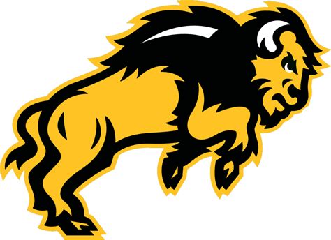 Ndsu Bison Clipart - Full Size Clipart (#5560766) - PinClipart