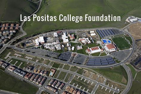 white-NPPhoto-2023-Ross_Cynthia-1028-crop2 | Las Positas College Foundation