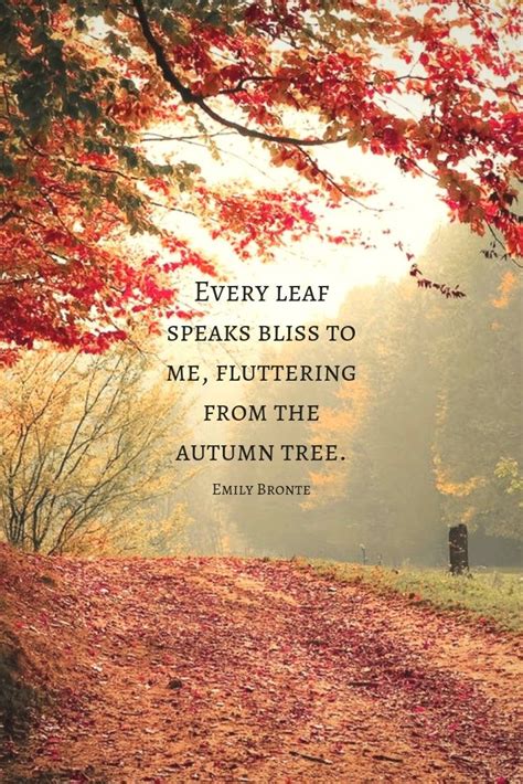 Pin by Paulo on Autumn ~ Outono ~ "Once upon an autumn day, The leaves whirled freely in every ...