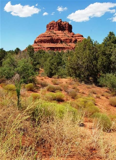 The Red Rocks of Sedona | Red rock, Sedona, Sedona red