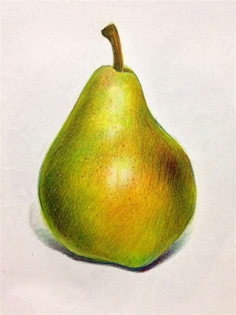Lauren Yurkovich » food illustration | Fruits drawing, Color pencil art, Color pencil drawing