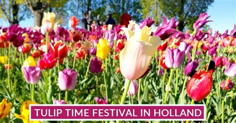 Five Family-Friendly Things to Do During the Holland Mi Tulip Festival