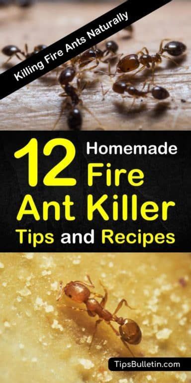 Homemade fire ant killer – Artofit