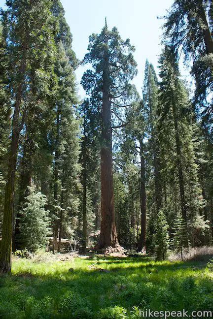 General Grant Tree Trail | Kings Canyon | Hikespeak.com