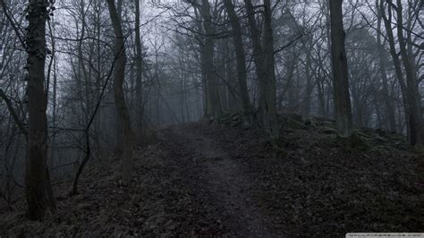 Dark Scary Forest Wallpaper (64+ images)