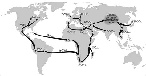 Marijuana's History: How One Plant Spread Through the World | Live Science