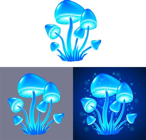 Best Psychedelic Mushrooms Illustrations, Royalty-Free Vector Graphics ...