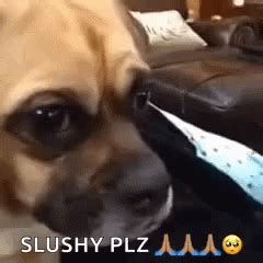 Puppy Eyes Dog GIF - Puppy Eyes Dog Cute - Discover & Share GIFs