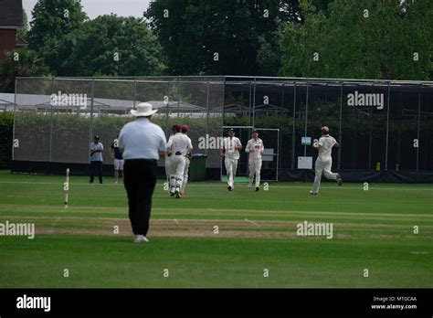 cricket match surrey England Stock Photo - Alamy