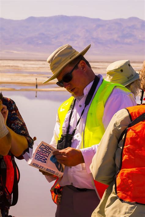 Bird Checklist of Owens Lake – Friends of the Inyo