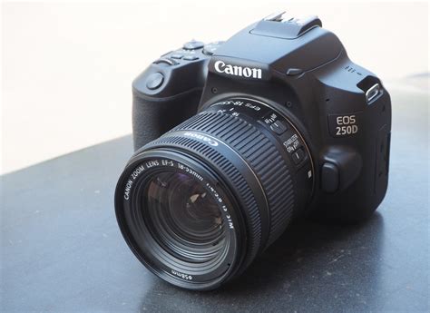 Canon EOS 250D Sample Photos | ePHOTOzine