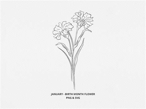 Birth Month Flowers SVG January Birthday Flower Png - Etsy Ireland