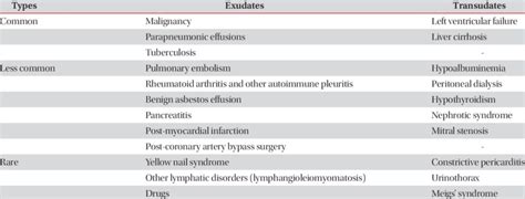 Causes Of Exudative Pleural Effusion