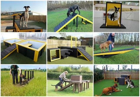 Dragon Play & Sports in South Wales - Dog Agility equipment – Big trend ...