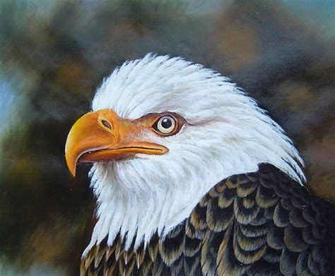 Proud and Brave National Emblem - Bald Eagle Oil Painting Animal ...