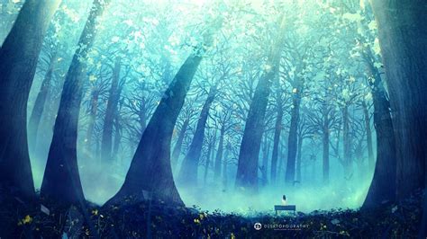 Anime Forest Wallpapers - Top Free Anime Forest Backgrounds - WallpaperAccess