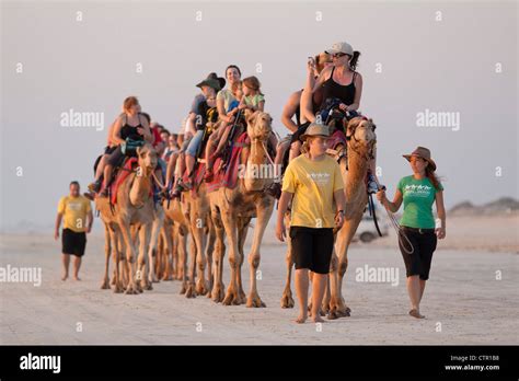 Camel ride on Cable Beach, Broome, Western Australia, Australia Stock ...