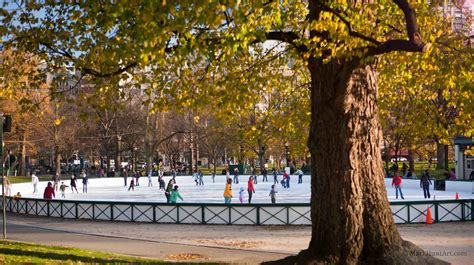 About – The Boston Common Frog Pond