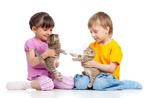 Cute Children Playing With Kittens Royalty Free Stock Photography ...