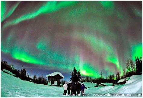 Alaska Northern Lights Tour 2025 - Wild Alaska Travel