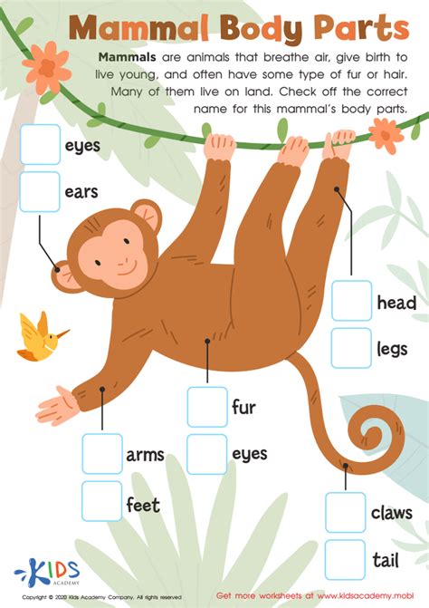 Mammal Body Parts Worksheet for kids