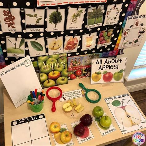 How to set up the Science Center in your Early Childhood Classroom - Pocket of Preschool ...