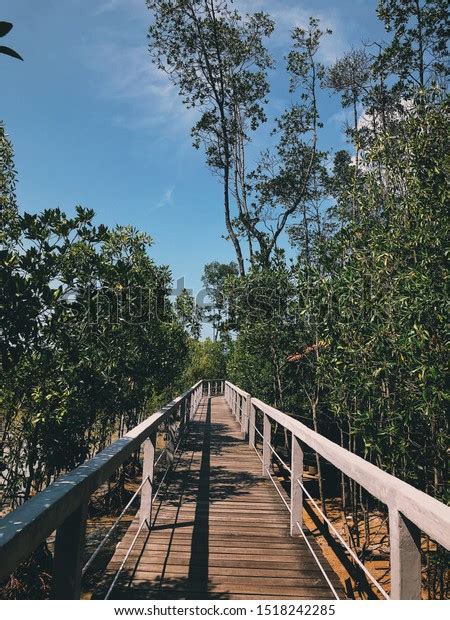 Tanjung Piai Johor National Park Stock Photo 1518242285 | Shutterstock