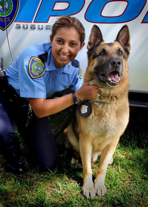 Are Police Dogs Only German Shepherds